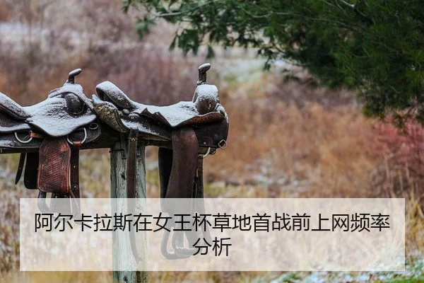 a-er-ka-la-si-zai-nv-wang-bei-cao-di-shou-zhan-qian-shang-wang-pin-lv-fen-xi-2-617.jpg