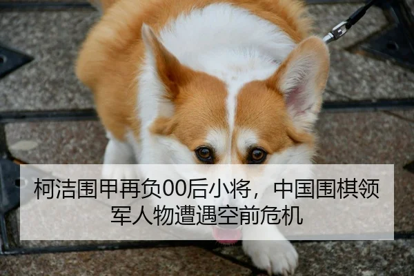 ke-jie-wei-jia-zai-fu-hou-xiao-jiang-zhong-guo-wei-qi-ling-jun-ren-wu-zao-yu-kong-qian-wei-ji-2-113.jpg