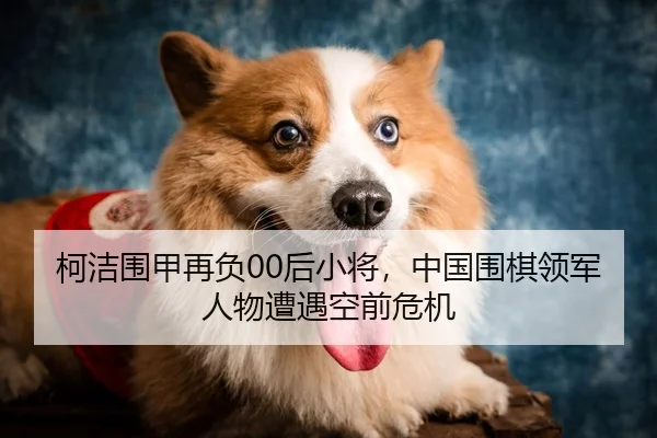 柯洁围甲再负00后小将，中国围棋领军人物遭遇空前危机