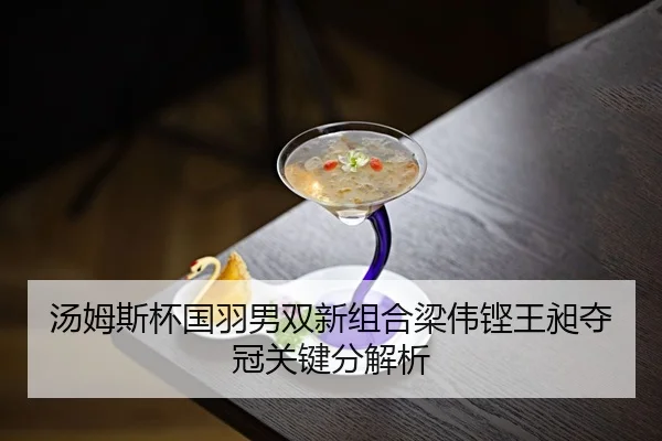 tang-mu-si-bei-guo-yu-nan-shuang-xin-zu-he-liang-wei-keng-wang-chang-duo-guan-guan-jian-fen-jie-xi-2-576.jpg