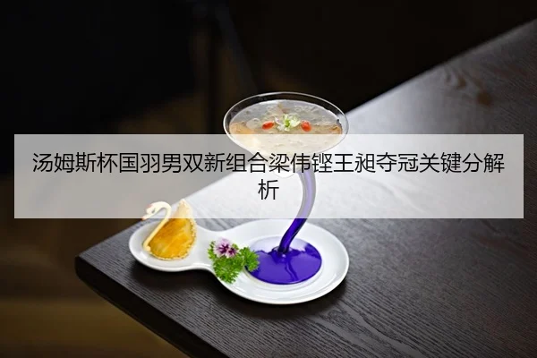 tang-mu-si-bei-guo-yu-nan-shuang-xin-zu-he-liang-wei-keng-wang-chang-duo-guan-guan-jian-fen-jie-xi-3-115.jpg