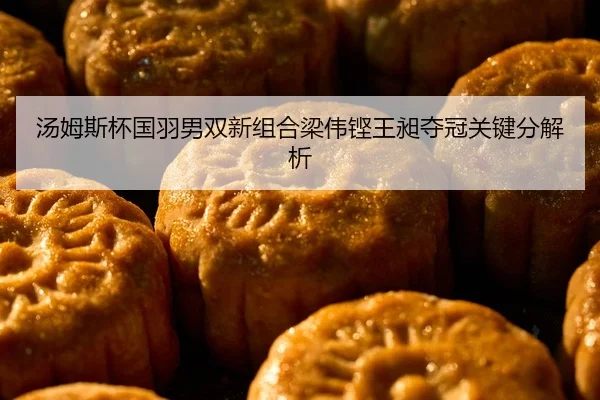 汤姆斯杯国羽男双新组合梁伟铿王昶夺冠关键分解析