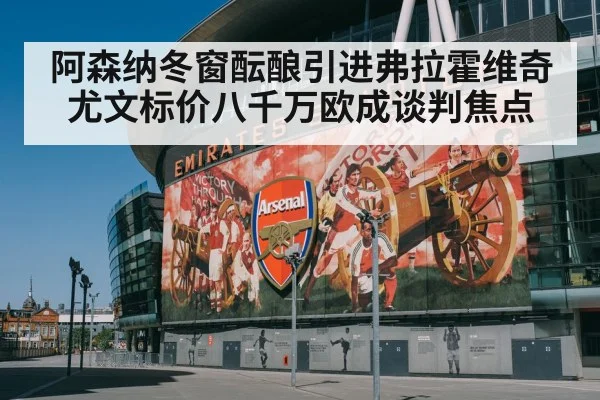 阿森纳冬窗酝酿引进弗拉霍维奇 尤文标价八千万欧成谈判焦点